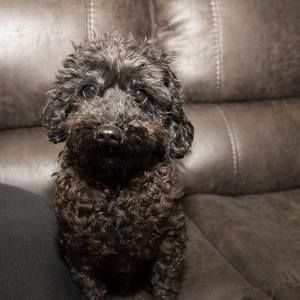 Meet your Posher, Kristin